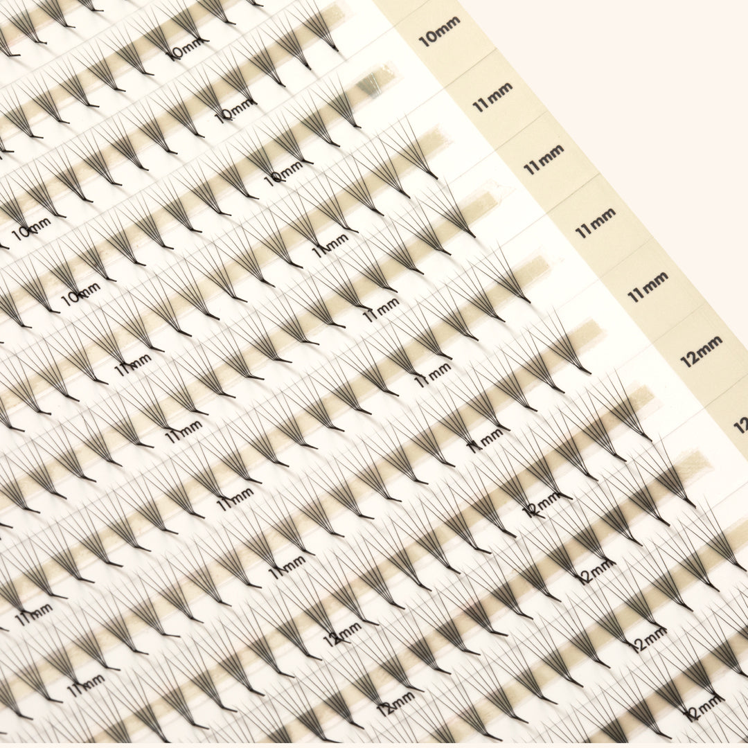 Pestanas Pré-feitas Estreitas Mayfair 5D 0.06 600 leques - Comprimentos Mistos