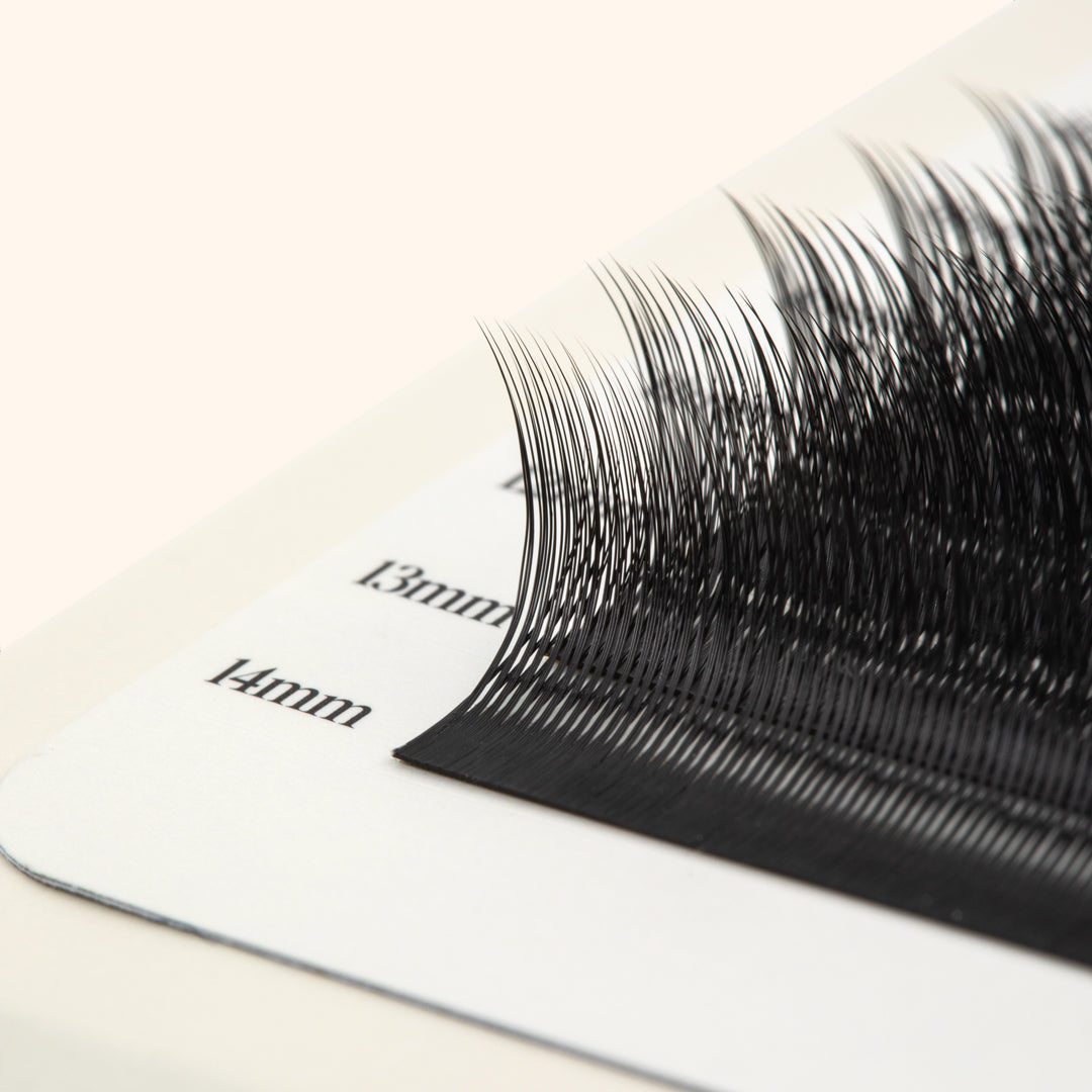 Pestanas de gatinho - Preto