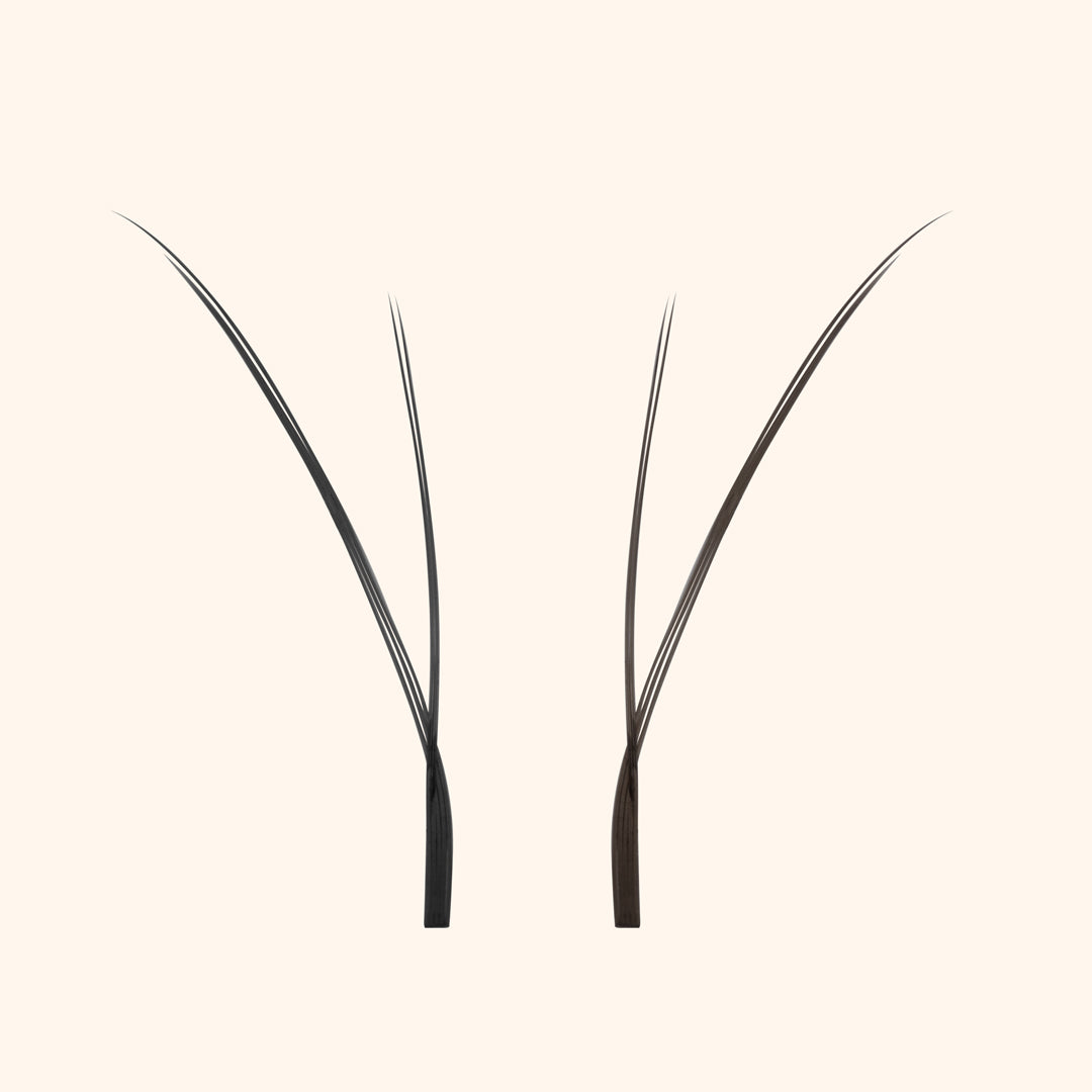 Pestanas de gatinho - Preto