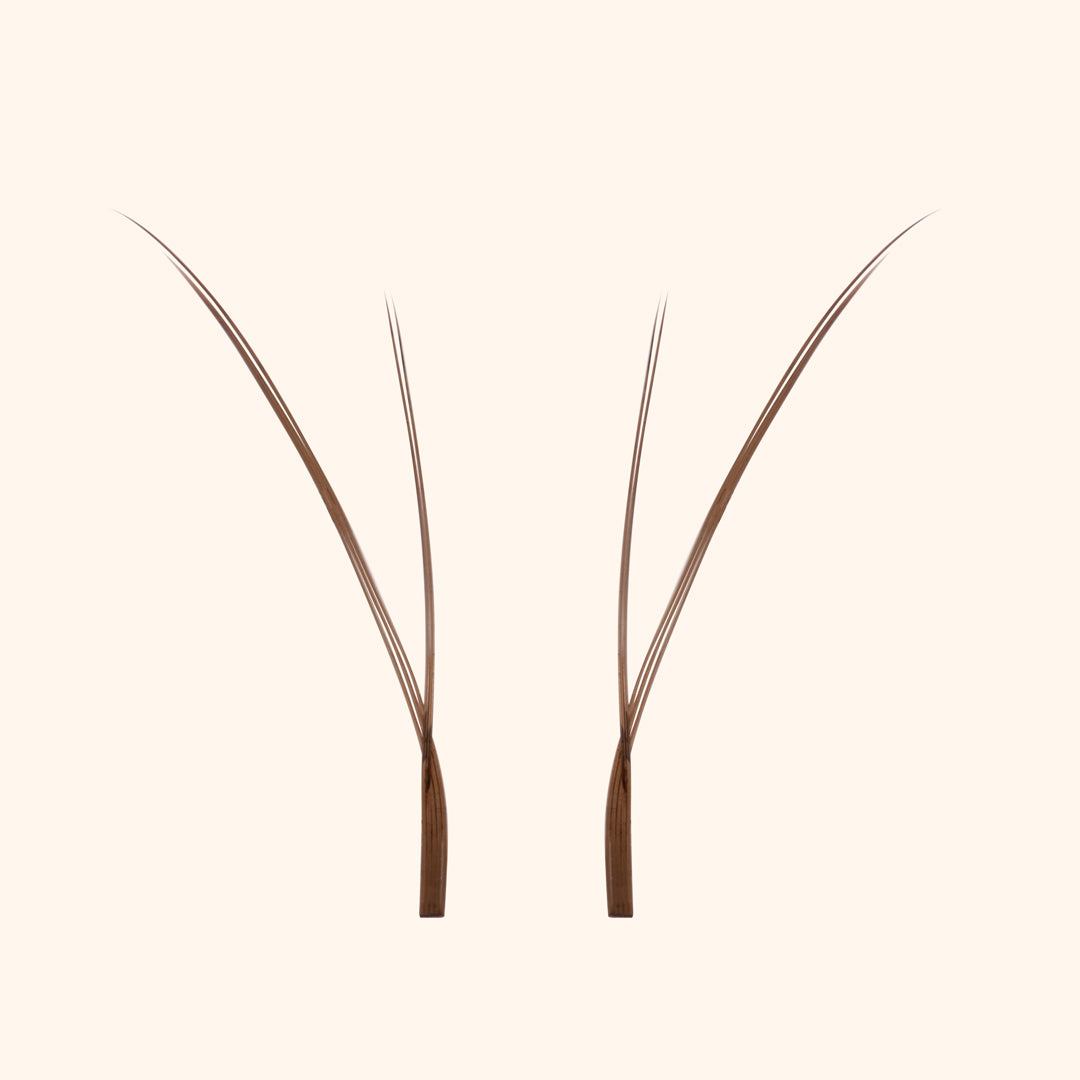 Pestanas de gatinho - marrom